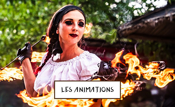 LES&nbsp;ANIMATIONS